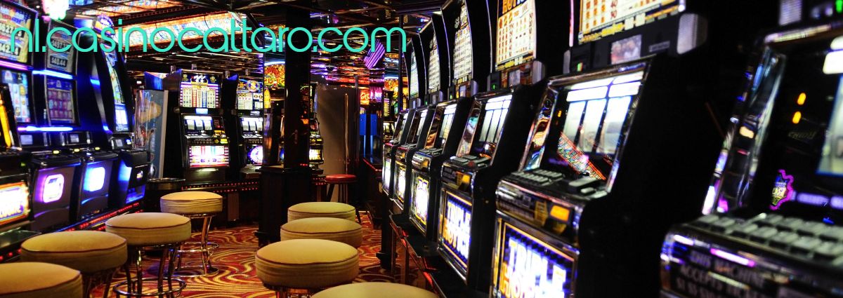 nl.casinocattaro.com